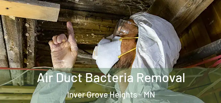 Air Duct Bacteria Removal Inver Grove Heights - MN