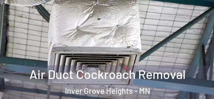 Air Duct Cockroach Removal Inver Grove Heights - MN