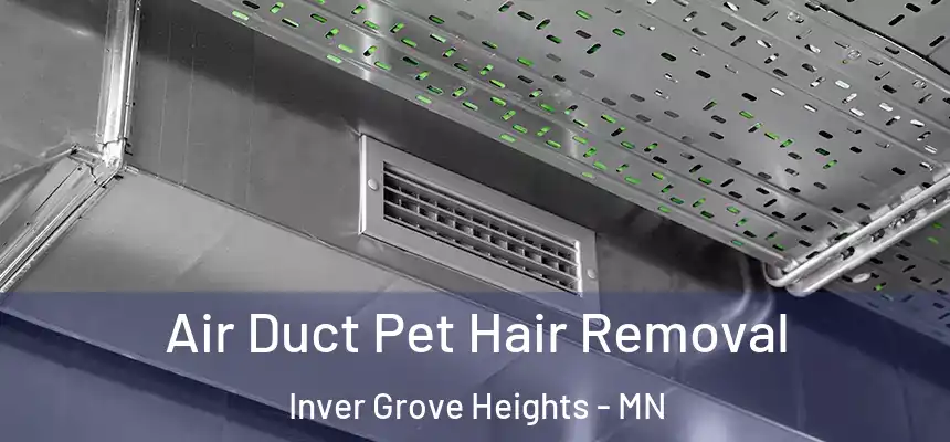 Air Duct Pet Hair Removal Inver Grove Heights - MN