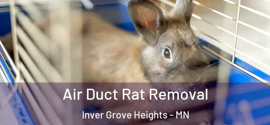 Air Duct Rat Removal Inver Grove Heights - MN