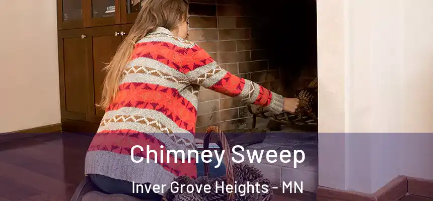  Chimney Sweep Inver Grove Heights - MN