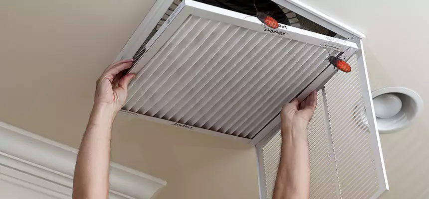 Preventive Cockroach-Proofing for Ducts in Inver Grove Heights