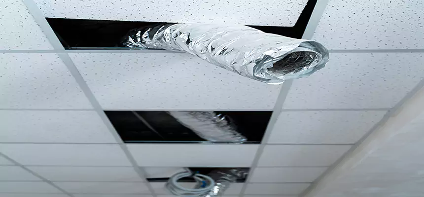 Affordable HVAC Sanitizing After Pest Removal in Inver Grove Heights