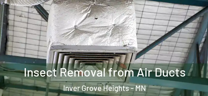  Insect Removal from Air Ducts Inver Grove Heights - MN
