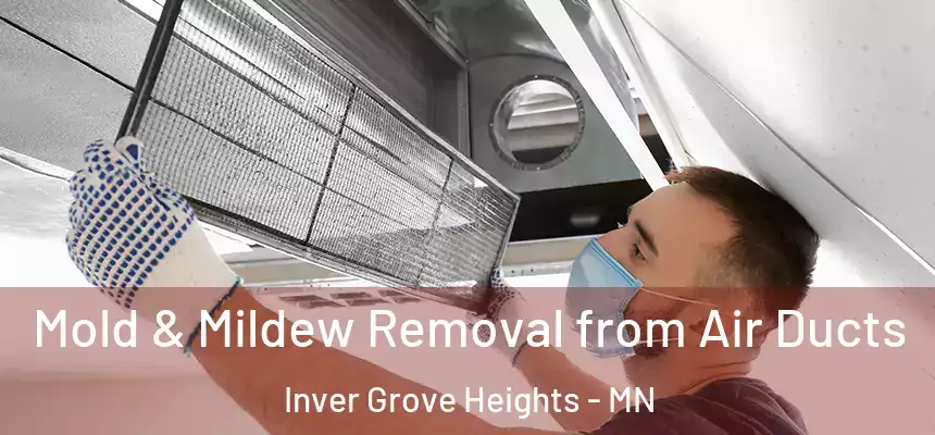 Mold & Mildew Removal from Air Ducts Inver Grove Heights - MN