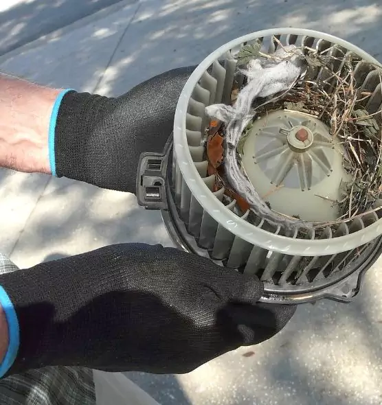 About Air Duct Mice Removal in Inver Grove Heights, MN