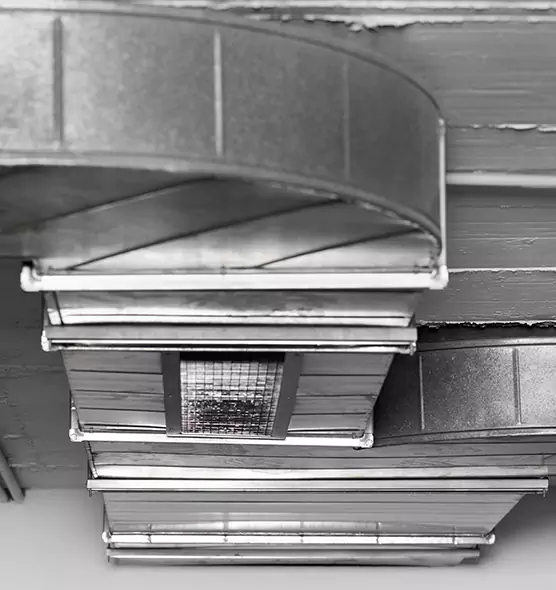 Professional Air Duct Pest Removal in Inver Grove Heights, MN