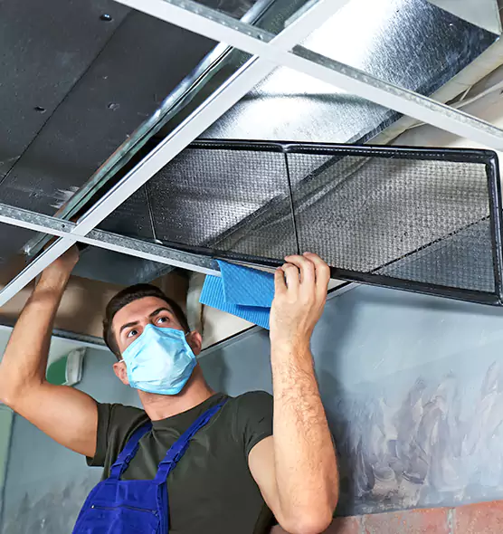 Professional Air Duct Pollen Cleaning in Inver Grove Heights, MN