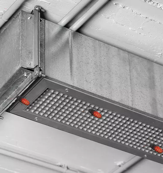 Affordable Insect Removal from Air Ducts in Inver Grove Heights, MN