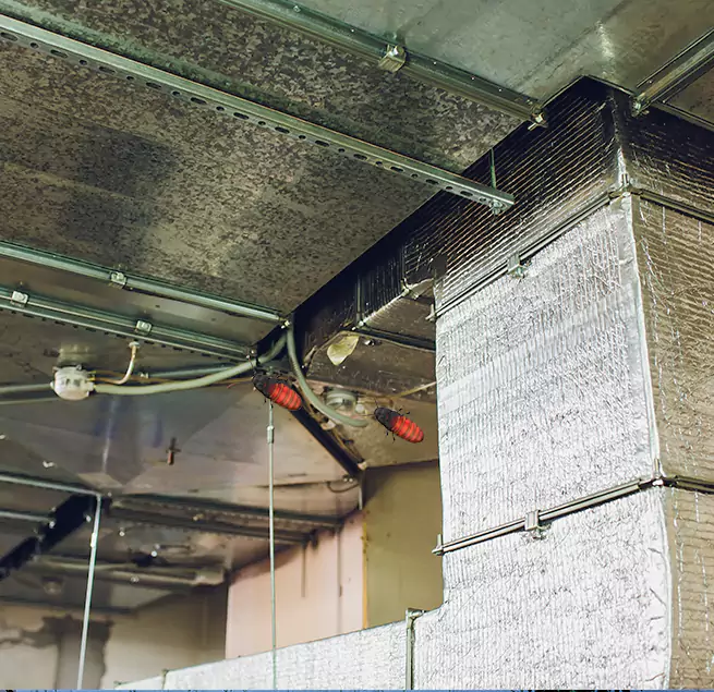 Why Homeowners & Businesses Trust Us in Inver Grove Heights, MN?