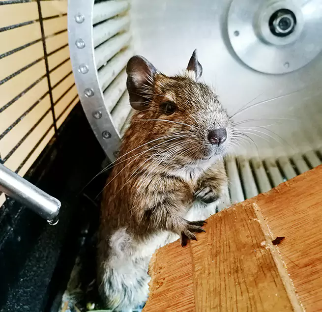 Why Homeowners & Businesses Trust Us Inver Grove Heights, MN?